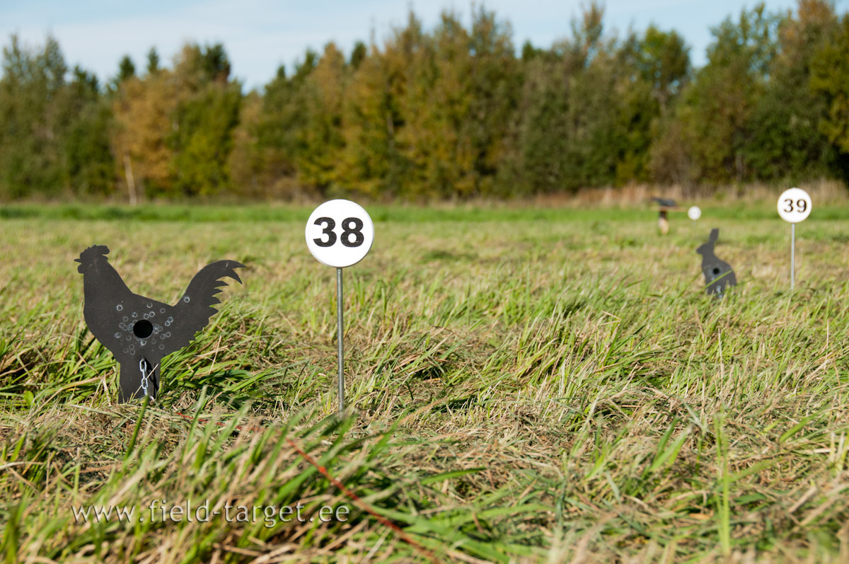 All targeting me! Why, I`m just a Cock?